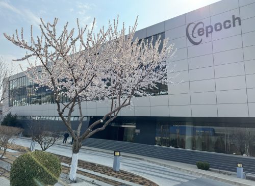 Weixin Image_20260401134329